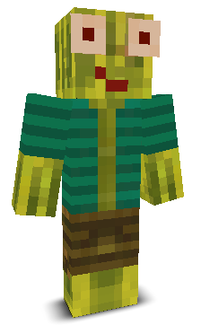 User's Minecraft appearance