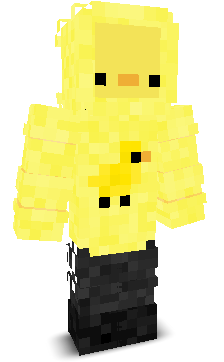 User's Minecraft appearance