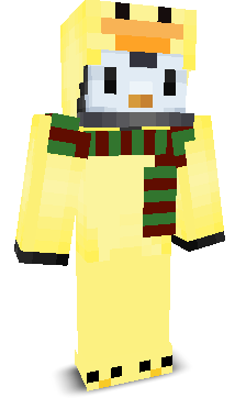 User's Minecraft appearance