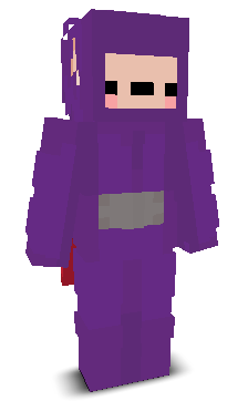 User's Minecraft appearance