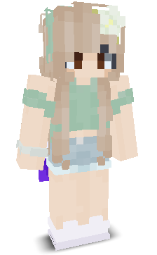 User's Minecraft appearance