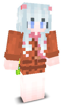 User's Minecraft appearance