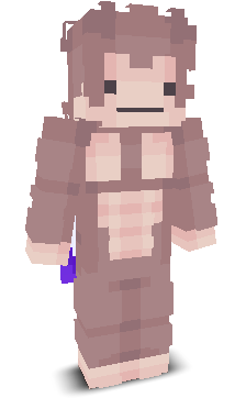 User's Minecraft appearance