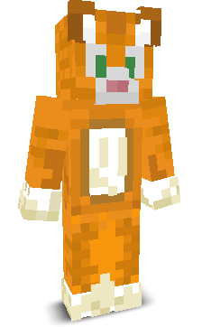 User's Minecraft appearance