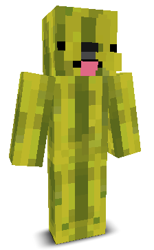 User's Minecraft appearance