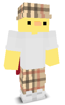 User's Minecraft appearance