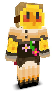 User's Minecraft appearance