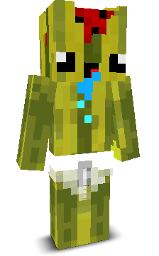 User's Minecraft appearance