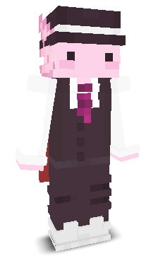 User's Minecraft appearance