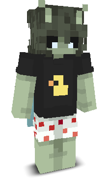 User's Minecraft appearance