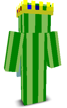 User's Minecraft appearance