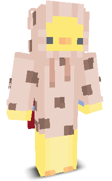 User's Minecraft appearance