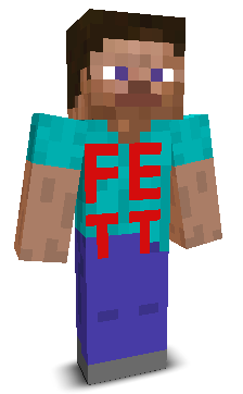 User's Minecraft appearance