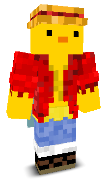 User's Minecraft appearance