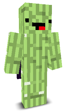 User's Minecraft appearance