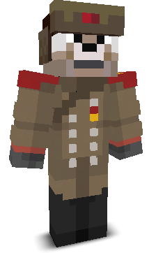 User's Minecraft appearance