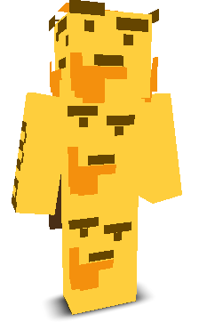 User's Minecraft appearance