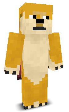 User's Minecraft appearance