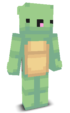 User's Minecraft appearance