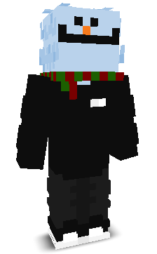 User's Minecraft appearance