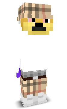 User's Minecraft appearance