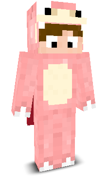User's Minecraft appearance