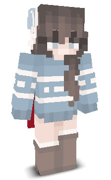 User's Minecraft appearance