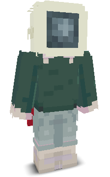 User's Minecraft appearance