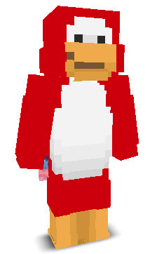 User's Minecraft appearance