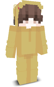 User's Minecraft appearance