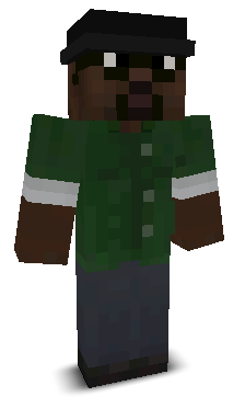 User's Minecraft appearance