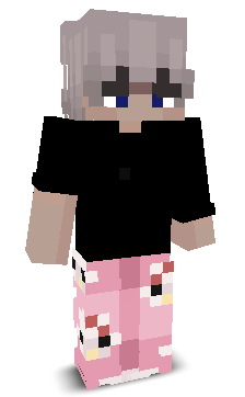 User's Minecraft appearance