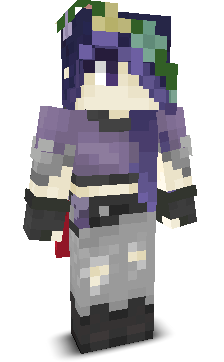 User's Minecraft appearance