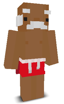 User's Minecraft appearance