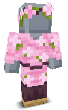 User's Minecraft appearance