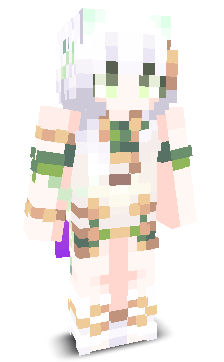User's Minecraft appearance