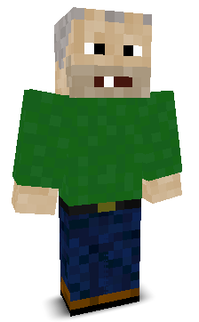 User's Minecraft appearance