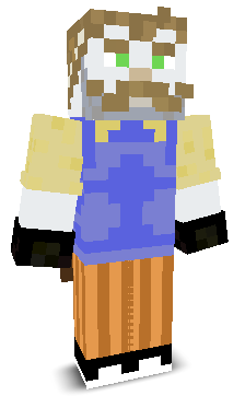 User's Minecraft appearance