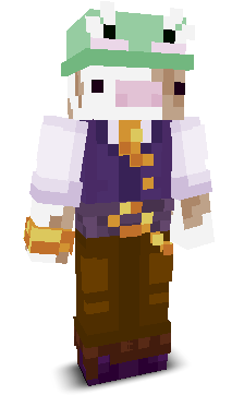 User's Minecraft appearance