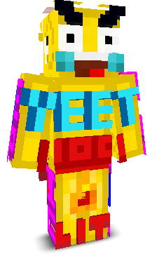 User's Minecraft appearance