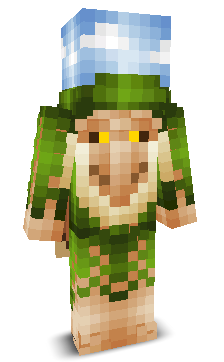 User's Minecraft appearance