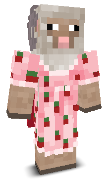 User's Minecraft appearance