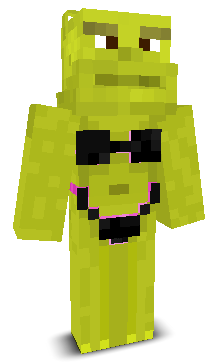 User's Minecraft appearance