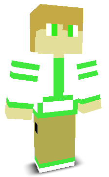 User's Minecraft appearance