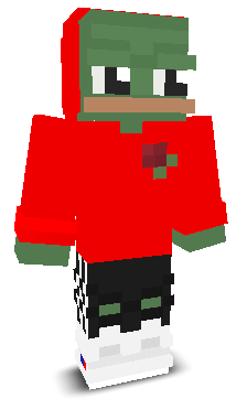 User's Minecraft appearance