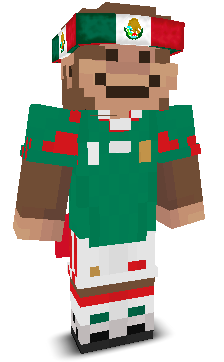 User's Minecraft appearance