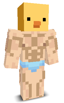 User's Minecraft appearance