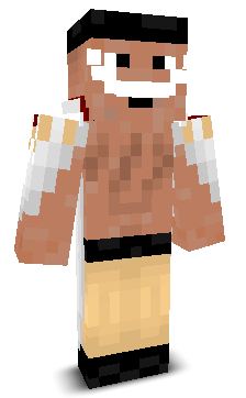 User's Minecraft appearance