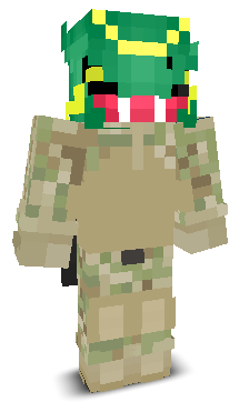 User's Minecraft appearance