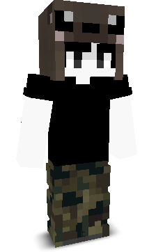 User's Minecraft appearance